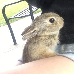 Meet your Posher, Emmy